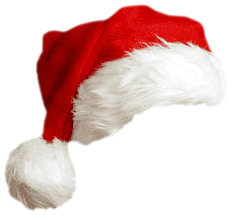 Christmas hat
